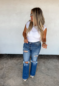 NEW COLORS- ASHLAND STRAIGHT LEG DISTRESSED JEANS