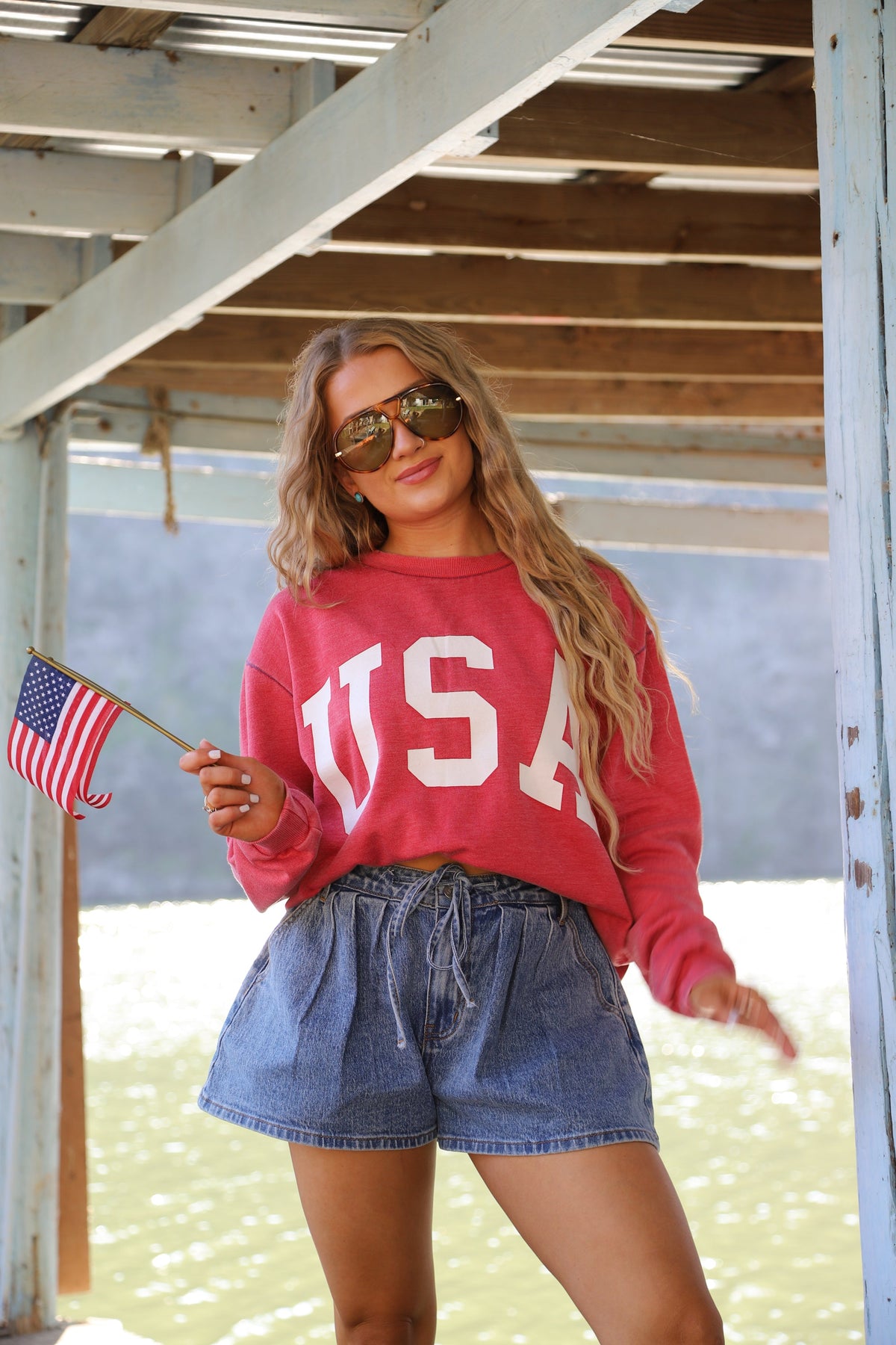 BRISTOL USA PULLOVER